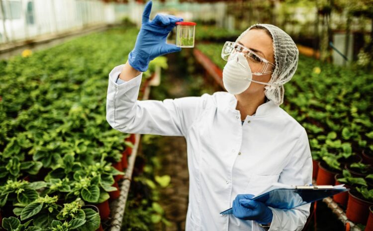 TÉCNICAS SOBRE CONTROL DE CALIDAD EN SISTEMAS PRODUCTIVOS AGRÍCOLAS