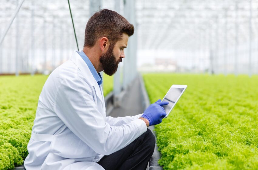 Técnicas sobre control de calidad en sistemas productivos agrícolas