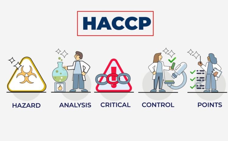 ANÁLISIS DE PELIGRO Y CONTROL DE PUNTOS CRÍTICOS, HACCP